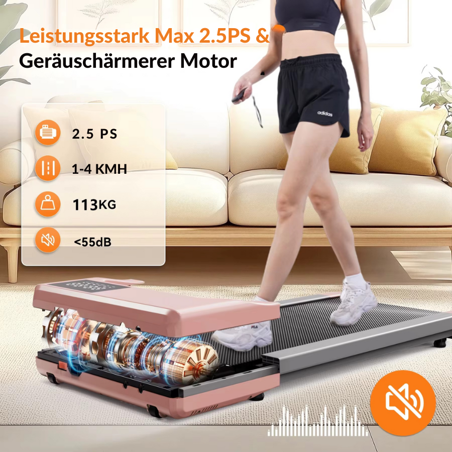 Leistungsstarker 2,5 PS Motor mit geringem Geräuschpegel unter 45dB